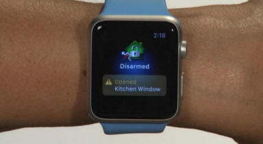 Iwatch